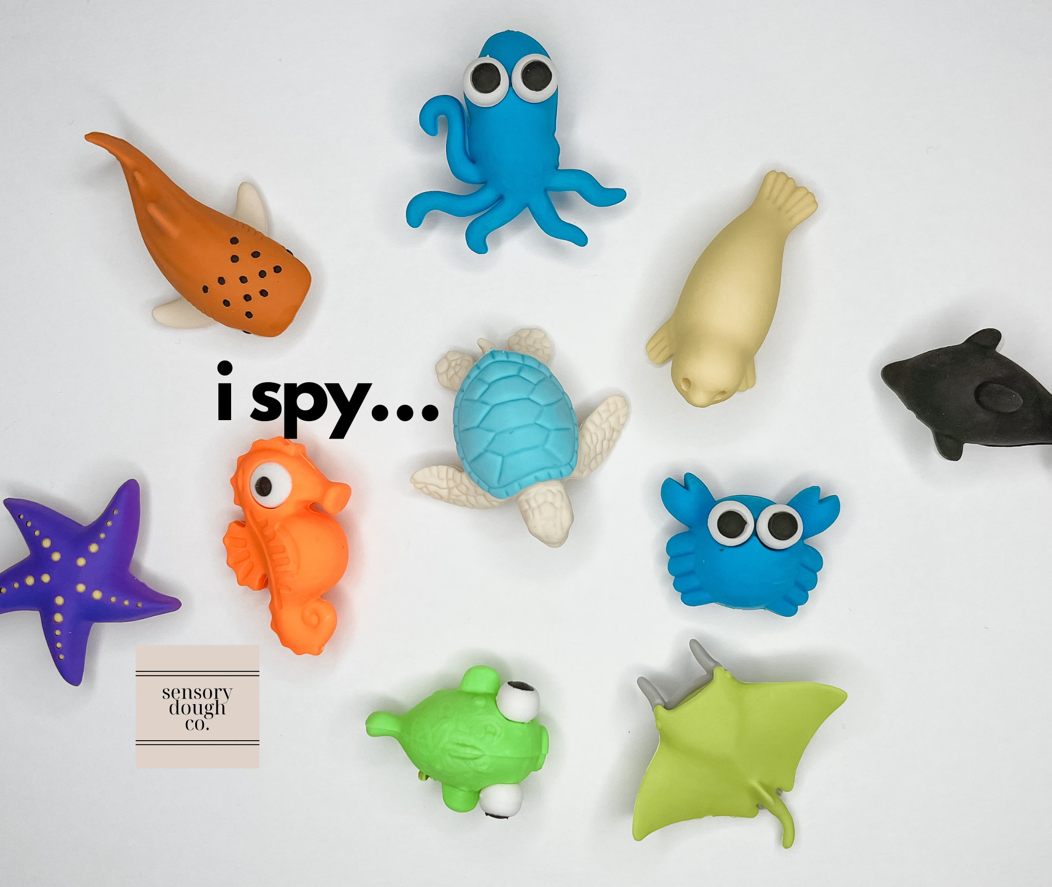 sea creatures i spy