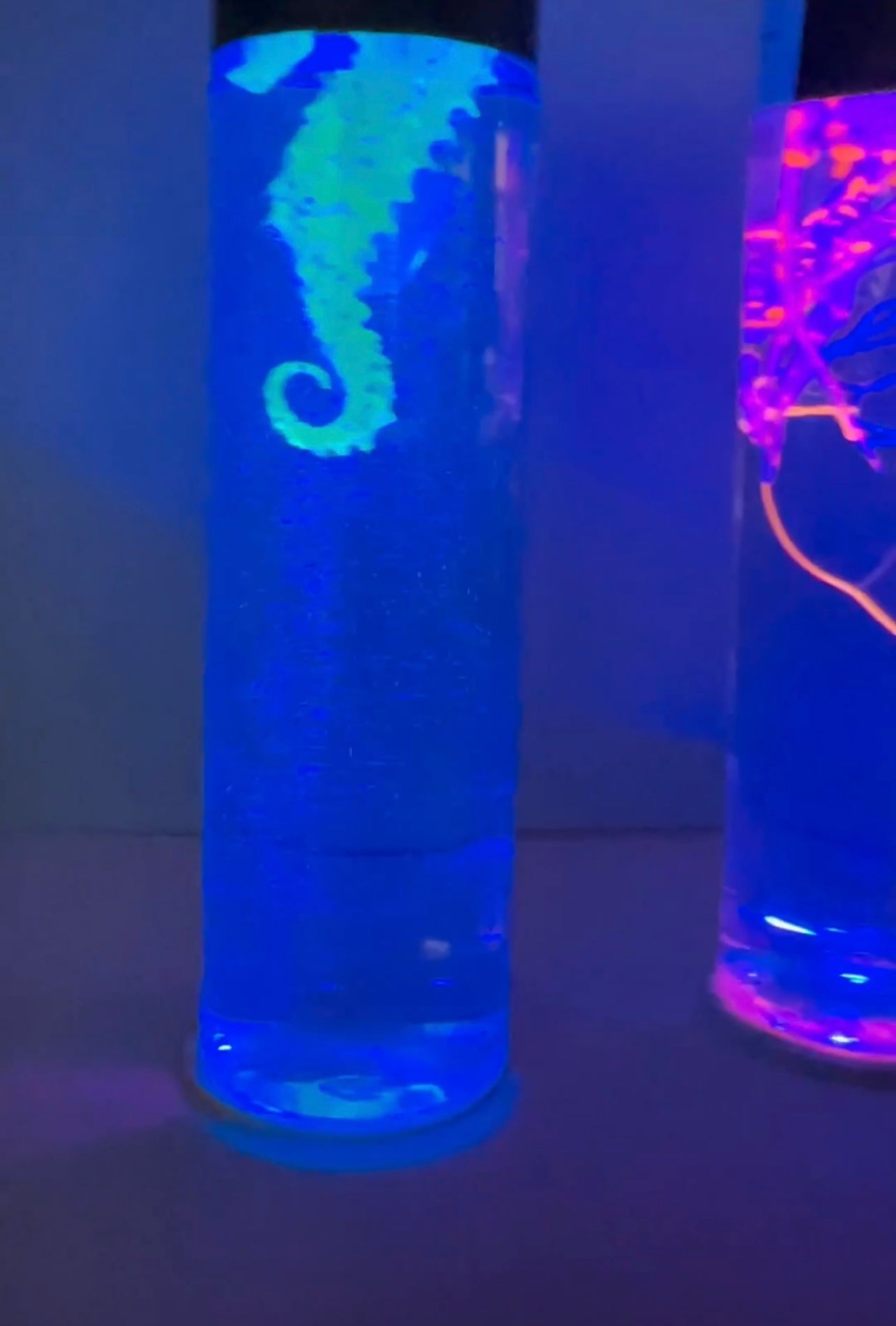 Seahorse Sway Calming Bottle