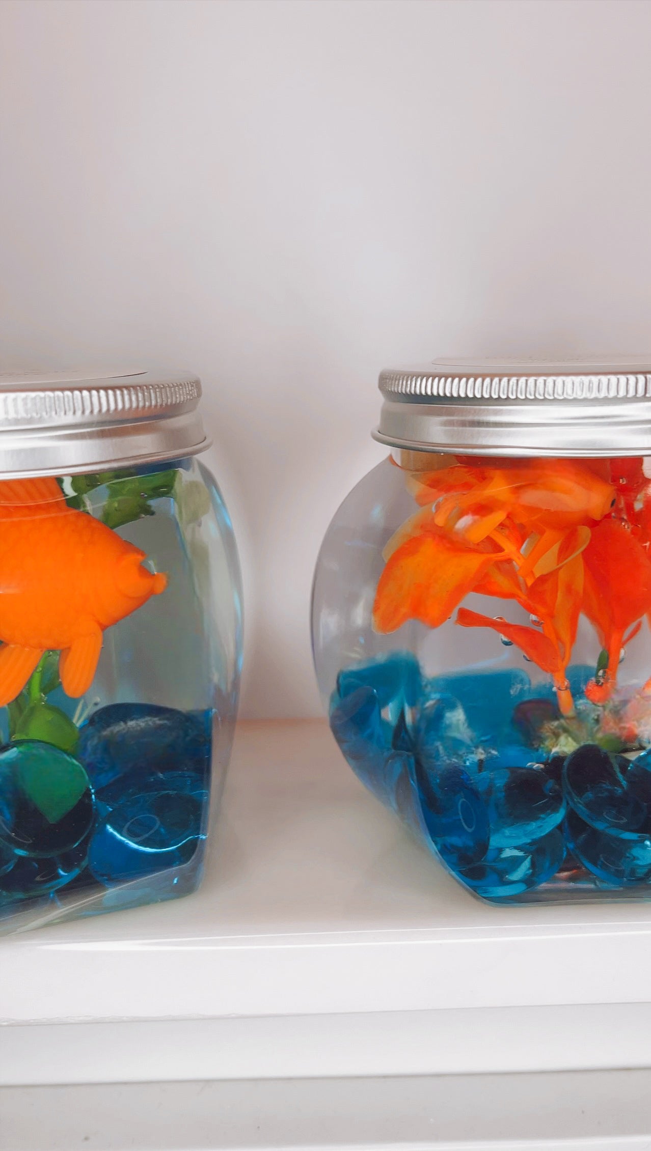 Mini Fish Bowl Adventure
