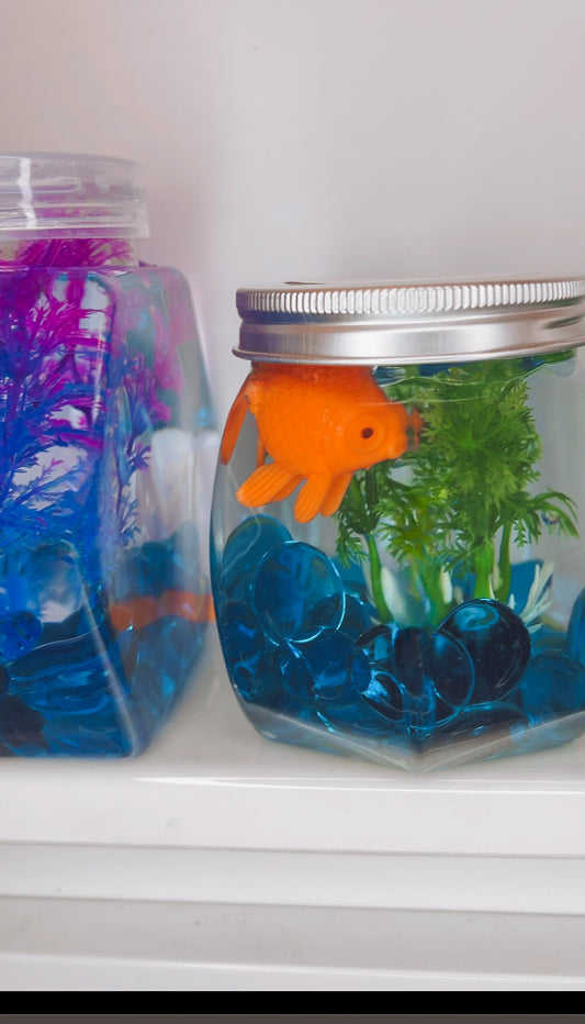Mini Fish Bowl Adventure