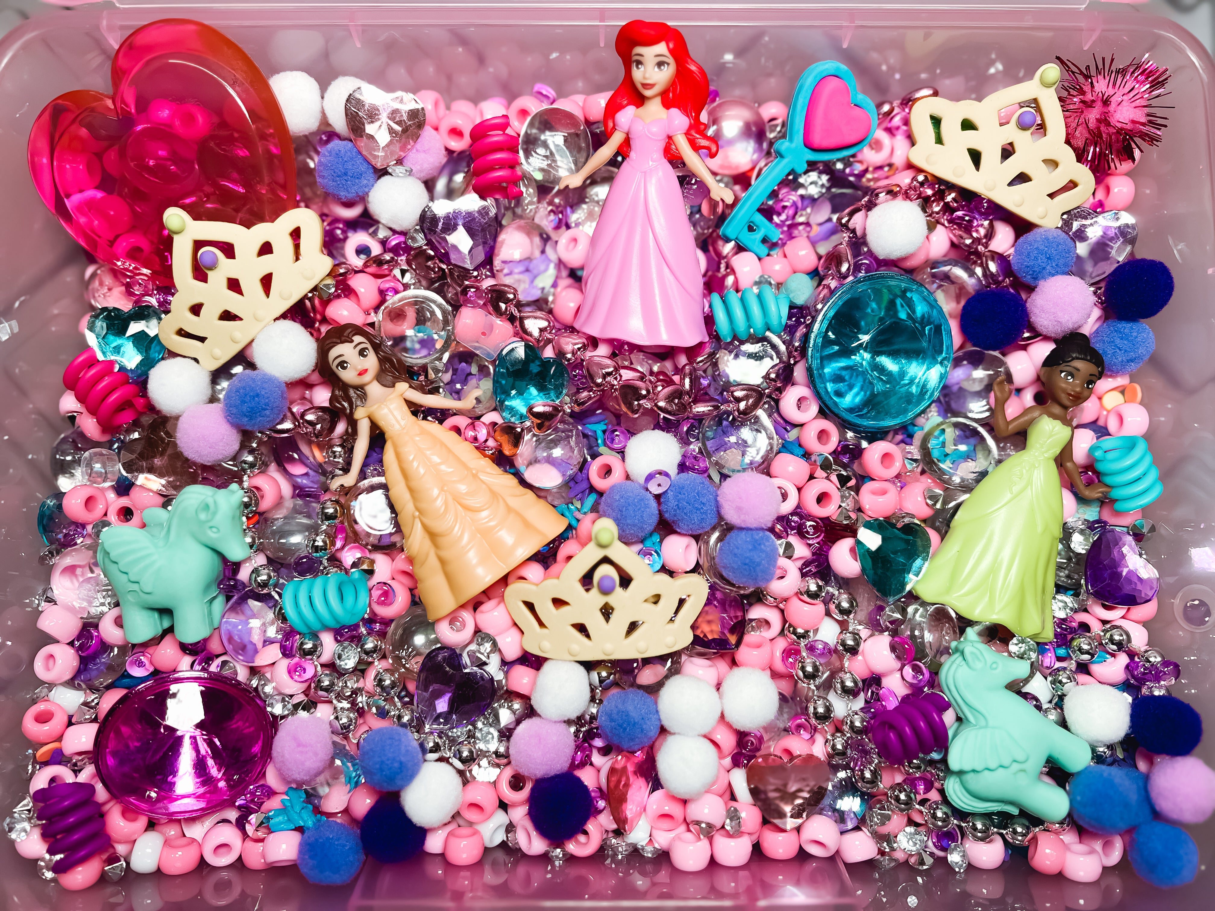 princess 👑👑 sensory filled case