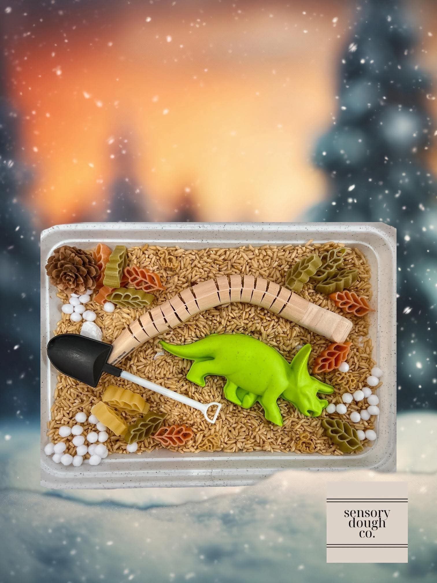fossil sensory hunt